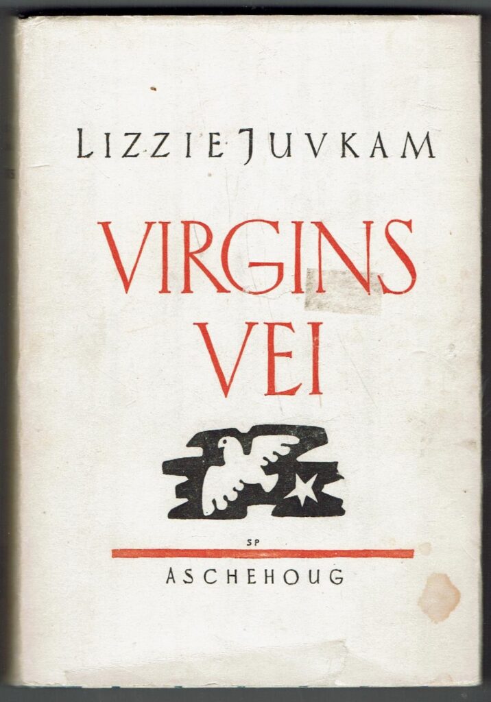 Omslag: Virgins vei