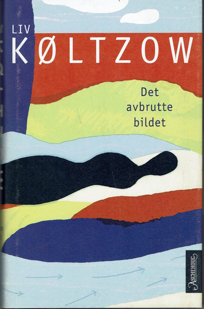 Omslag: Det avbrutte bildet