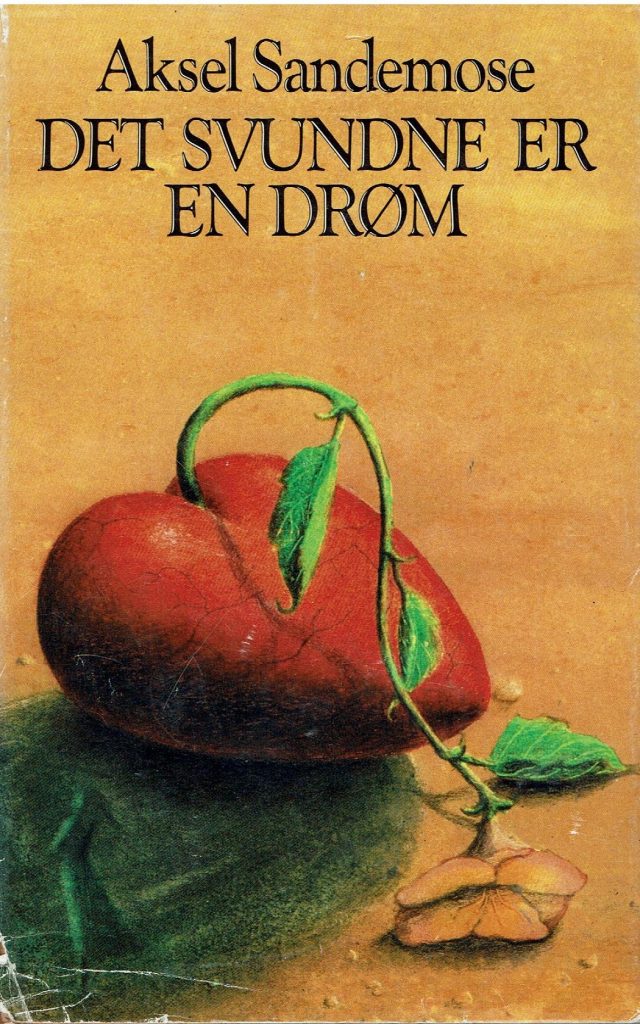 Omslag: Det svundne er en drøm