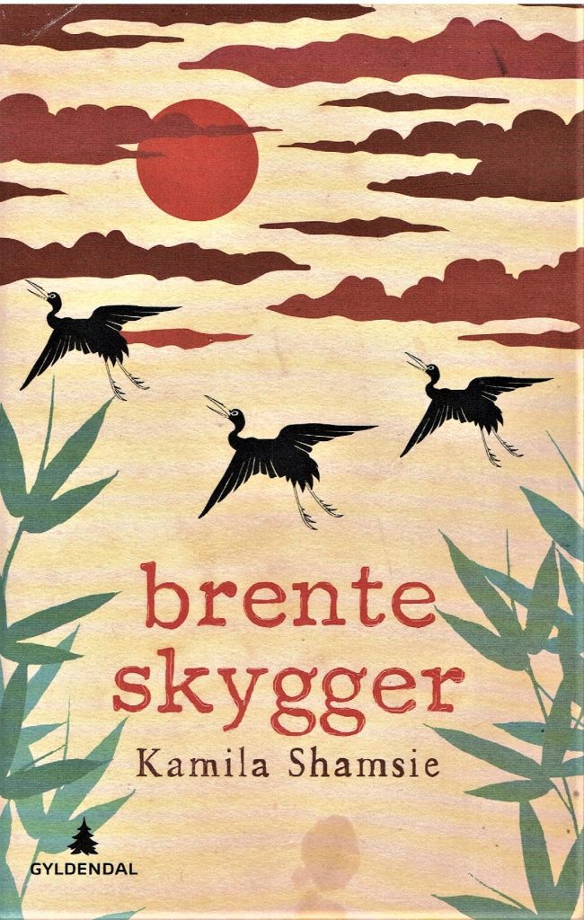Omslag: brente skygger