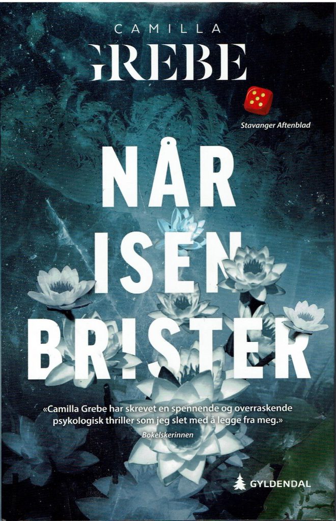 Omslag: Når isen brister
