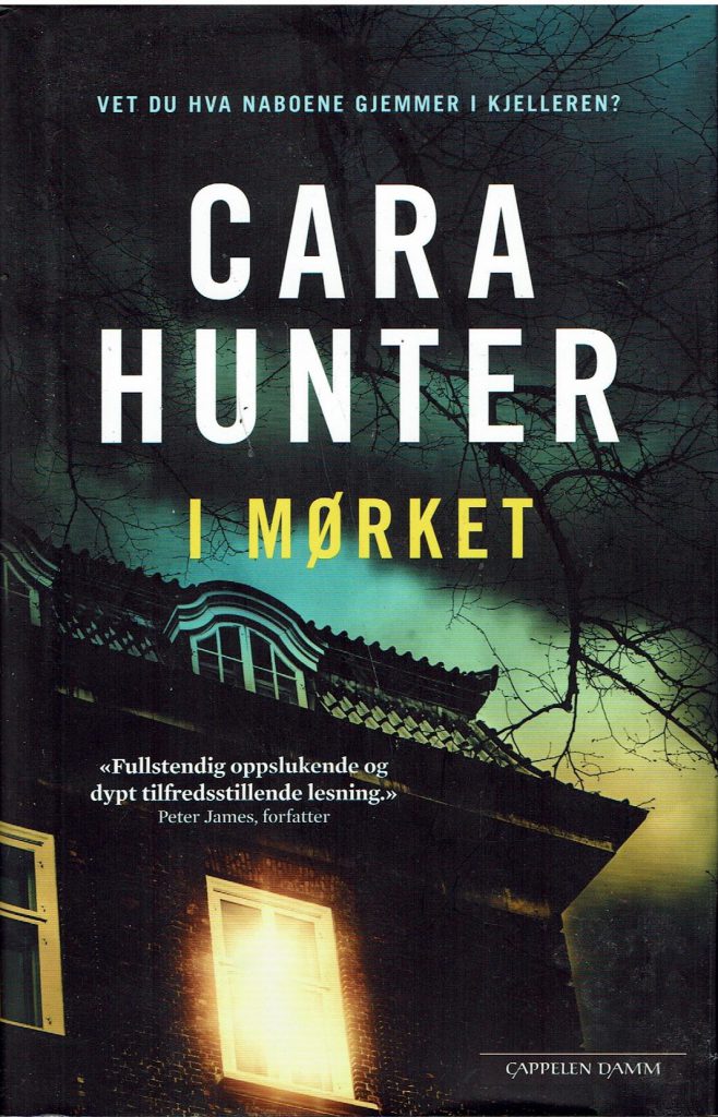 Omslag: I mørket
