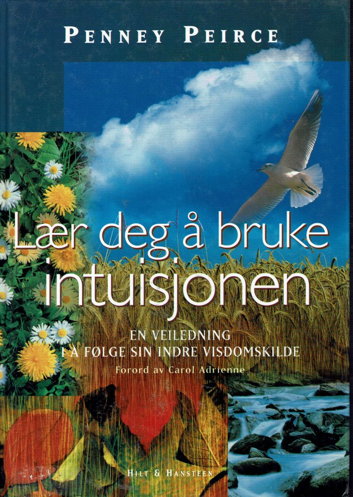 Omslag: Lær deg å bruke intuisjonen