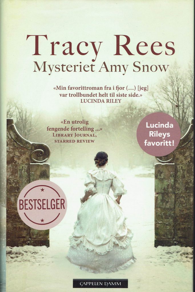 Omslag: Mysteriet Amy Snow