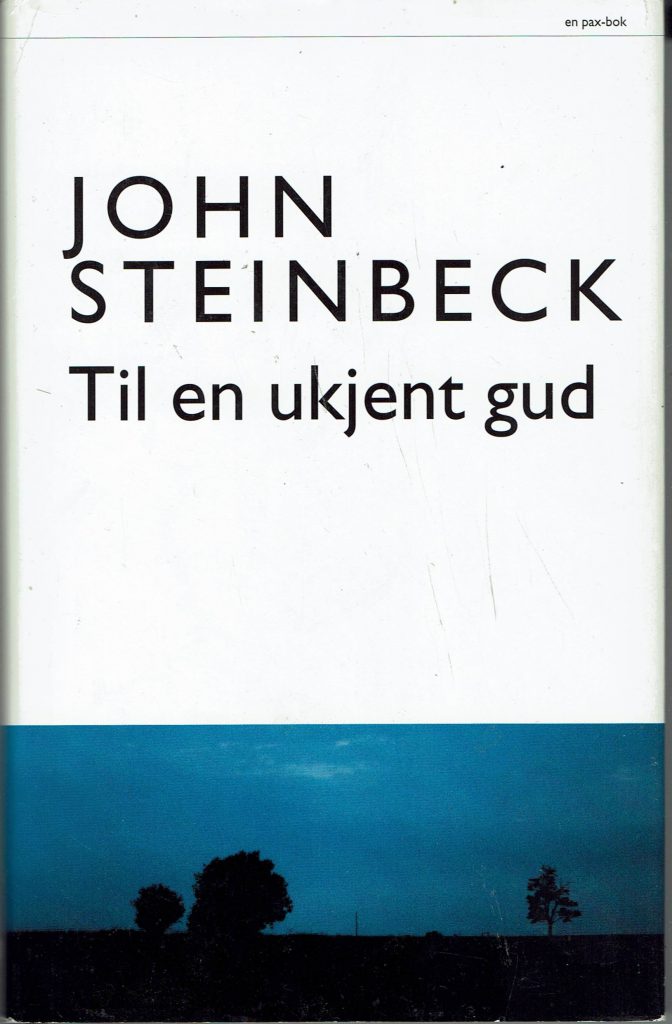 Omslag: Til en ukjent gud