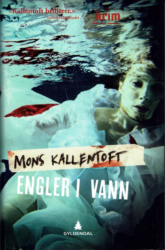 Omslag: Engler i vann